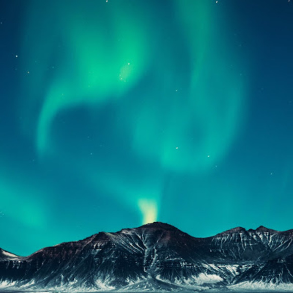 Meet your Posher, Raine - Picture 1 of 1